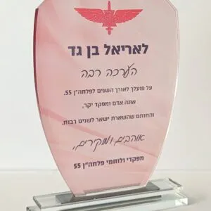 מגן הוקרה מקריסטל דגם "אדם" 23 ס"מ עם הדפס UV כולל אריזה מהודרת