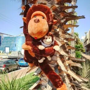 בובת "קוף חיבוקי" 1.10 מטר