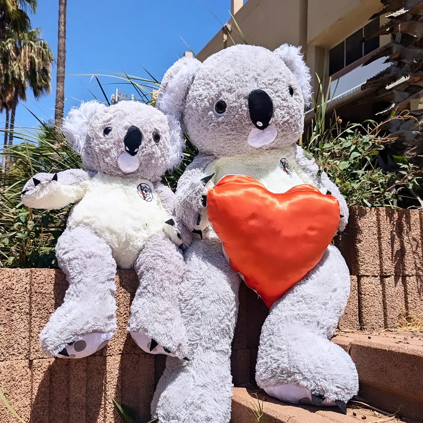 דובי ענק, דובי ענק אמריקאי, דובי גדול, דובי, דובי פרווה, בובת דובי, דובי שמן, דובי 2 מטר, דובי מטר וחצי, דובי מטר, דובי לחברה, דובי אהבה, דובי ענק 3 מטר, דובי ענק 2 מטר, דובי ענק 1.5 מטר, דובי ענק מטר וחצי, דובי ענק מטר, דובי ענק 1 מטר, טדיבר דובי ענק, טדיבר, דובי ענק מיוחד ואיכותי,דובי ענק מיוחד הכוכב של האירוע