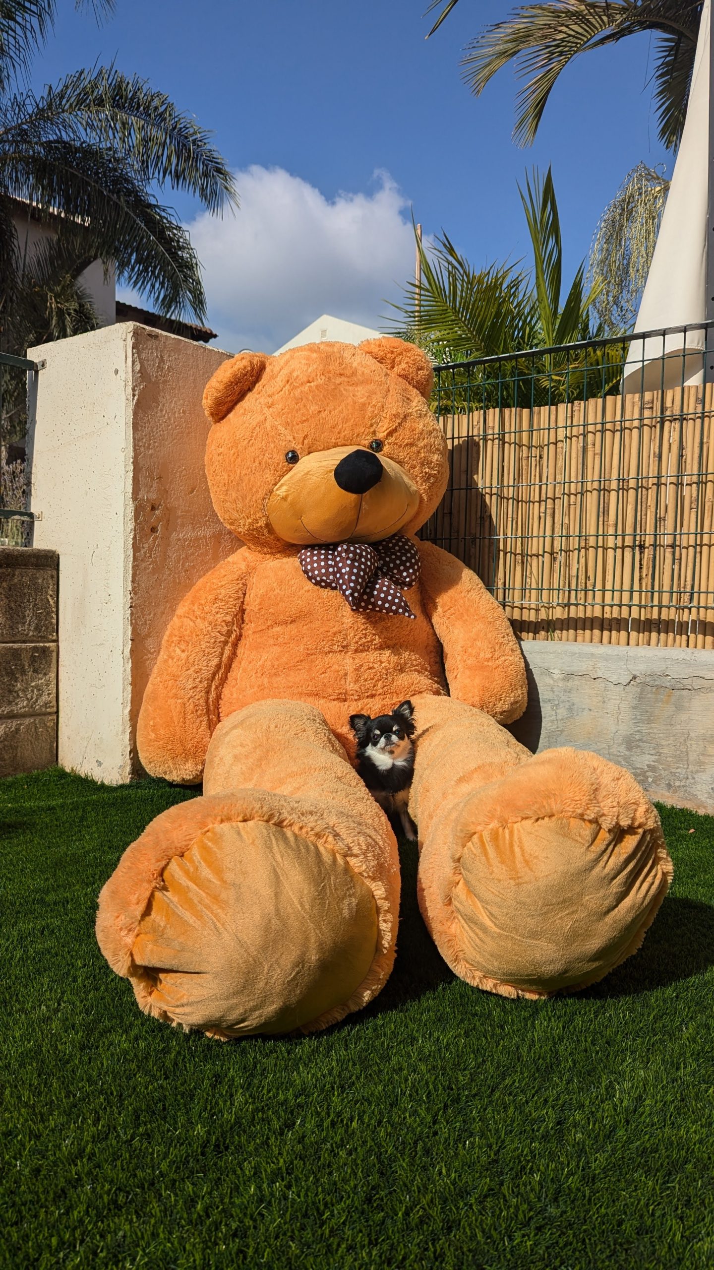 דובי ענק 3 מטר חום -"חום קרמל" בסגנון קלאסי – תמונה 2