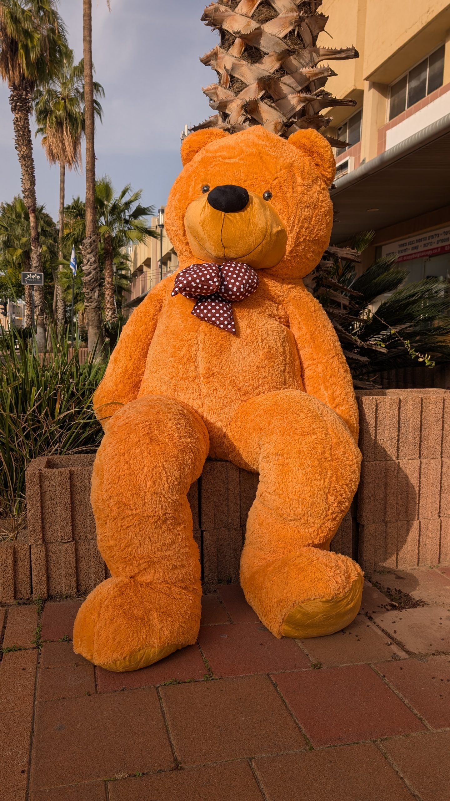 דובי ענק 3 מטר חום -"חום קרמל" בסגנון קלאסי – תמונה 5