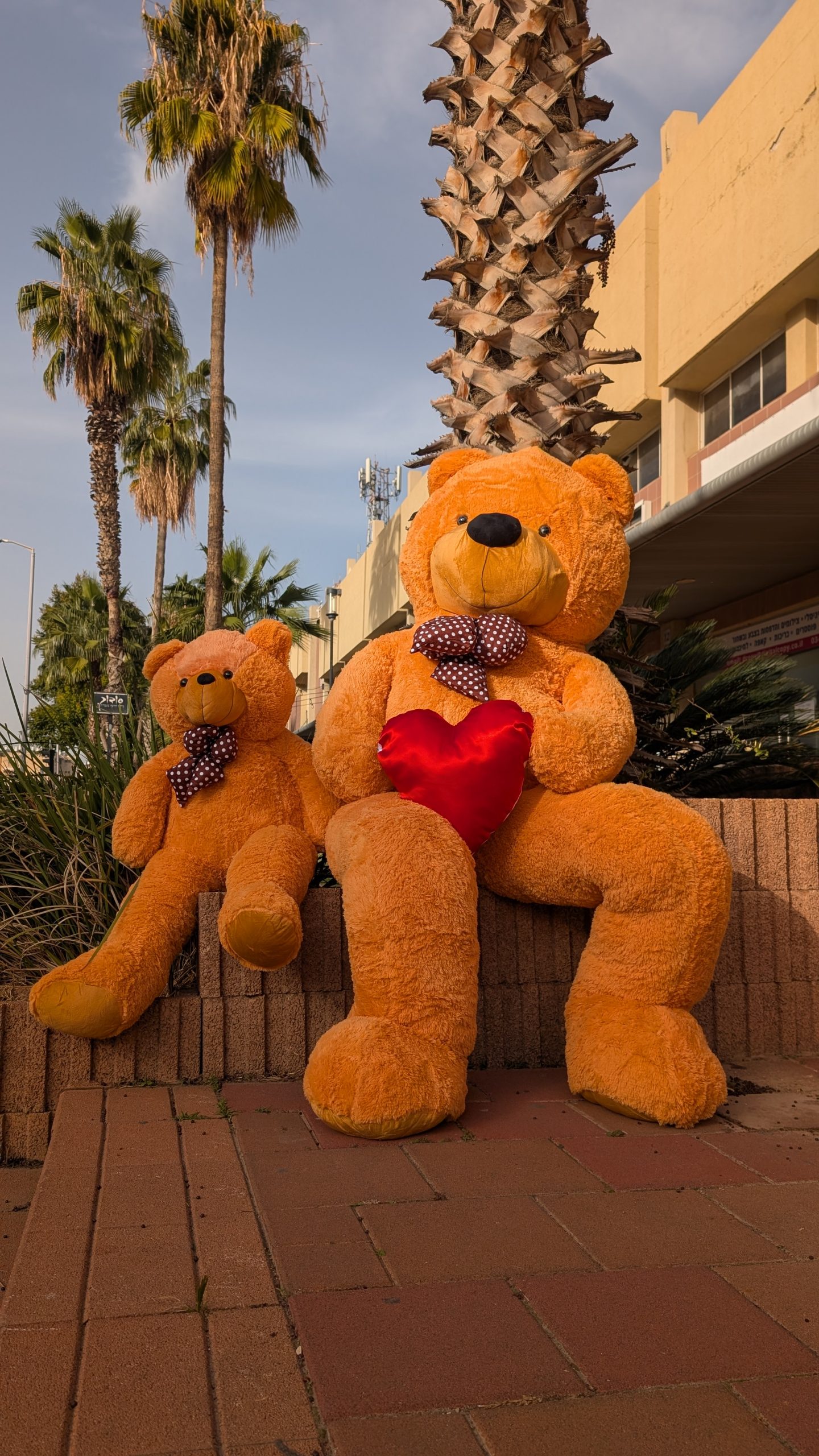 דובי ענק 3 מטר חום -"חום קרמל" בסגנון קלאסי – תמונה 7