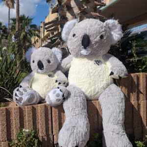 בובת "דוב קואלה" 1.5- אפור